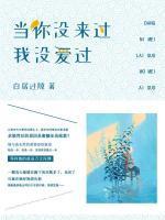 当你没来过我没爱过是什么歌曲