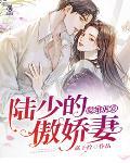 隐婚娇陆少放肆宠