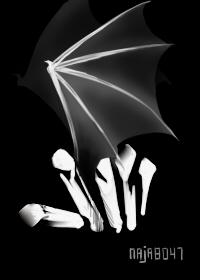 哥谭有蝙蝠侠吗