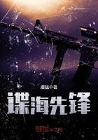 电视剧谍海风云剧情完整介绍