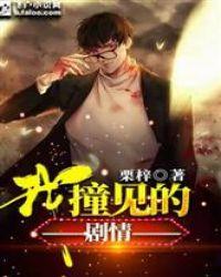 我撞见的剧情TXT