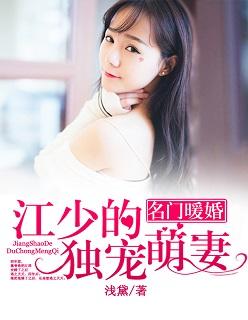 名门暖婚江爷追妻攻略免费阅读