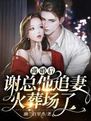 离婚后又来追妻了