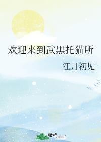 欢迎来到武黑托猫所