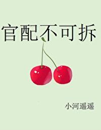 官配不可拆[穿书]