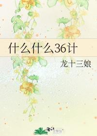 什么什么36计